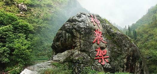 救援外星小怪